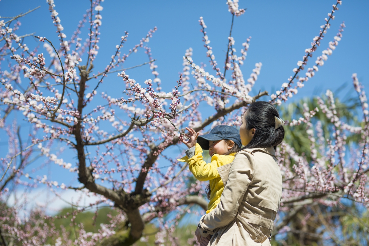 穴場発見！子連れで桜を楽しめる都内近郊の花見スポット4選